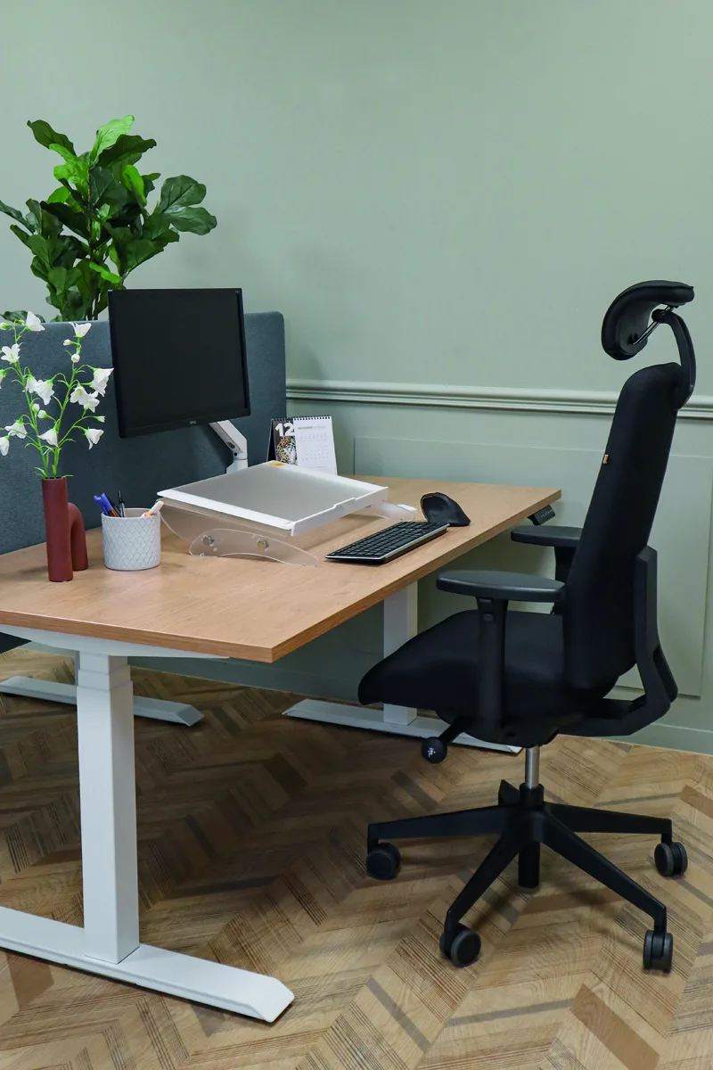 Siège Ergo Expert Premio – Image 3